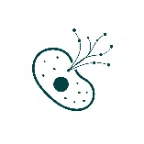 Cellosophy icon